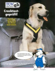dog seat belt, TUEV examined and crash tested ! More chances of survival for your dog! Size M: for medium sized dogs e.g. Border Collie, Australian Shepherd / Weight: about 15 - 30 kg.